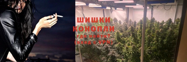 стаф Аркадак