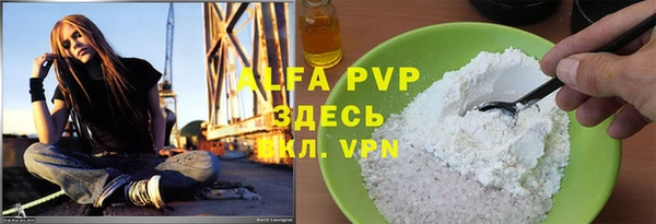 стаф Аркадак