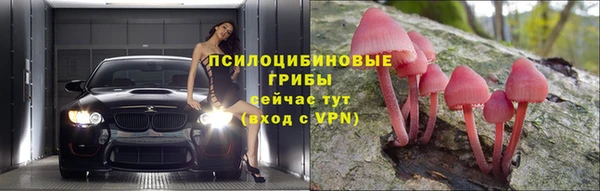 spice Армянск