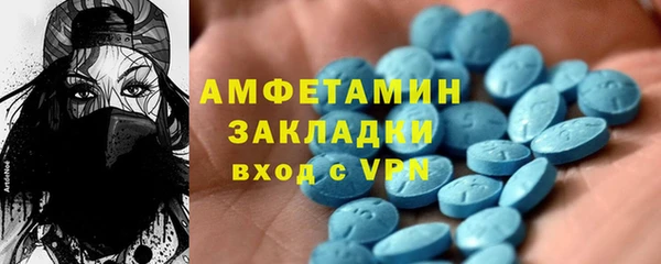 стаф Аркадак