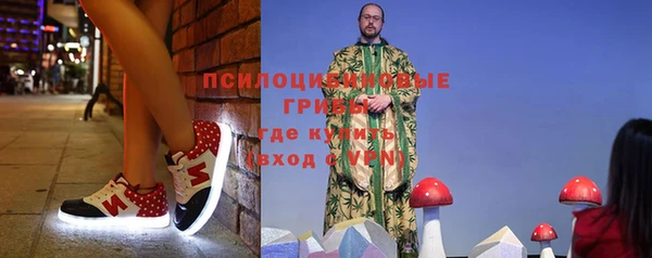 spice Армянск