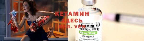 стаф Аркадак