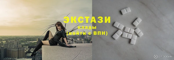 стаф Аркадак