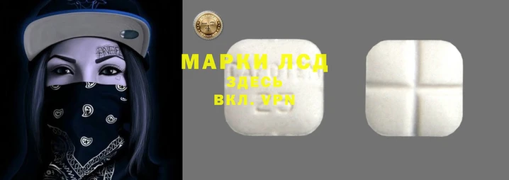 молекула духа Арсеньев
