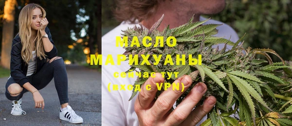 молекула духа Арсеньев