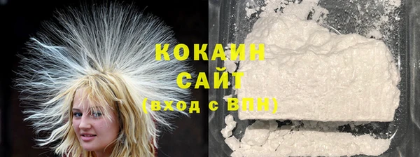 стаф Аркадак