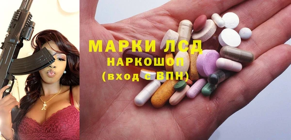 молекула духа Арсеньев