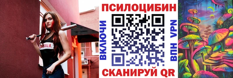 Псилоцибиновые грибы Psilocybine cubensis  как найти закладки  Теберда 